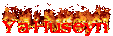 Nik