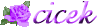 Nik