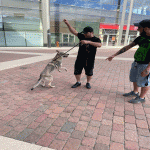 DALEKO