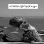 Sancaq_