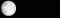 Nik