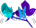 Nik
