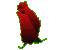 Nik